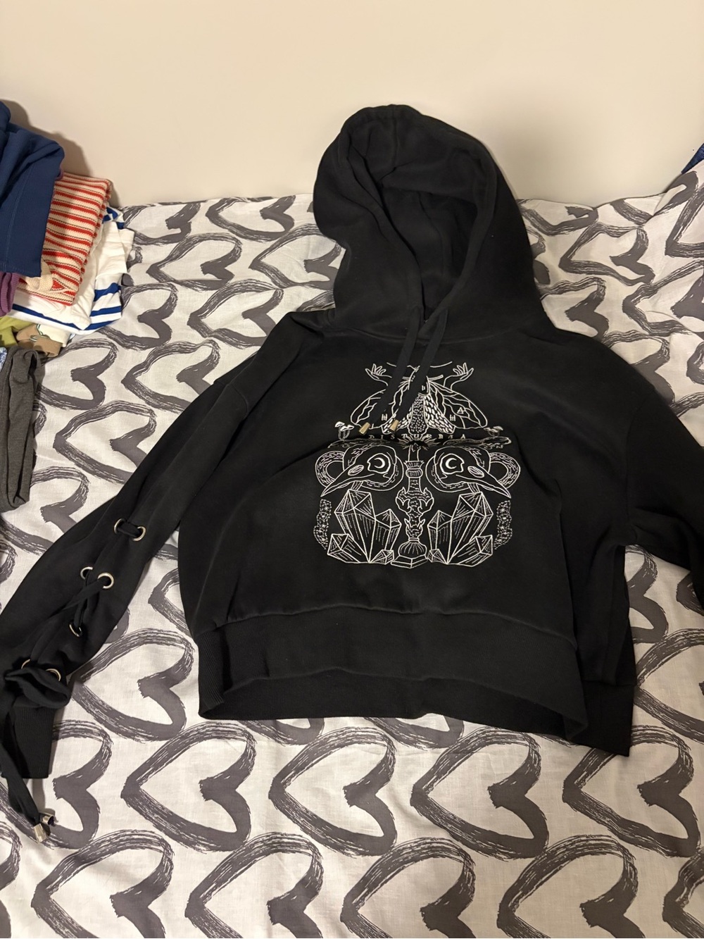 Disturbia Angitia Embroidered Crop Hoodie